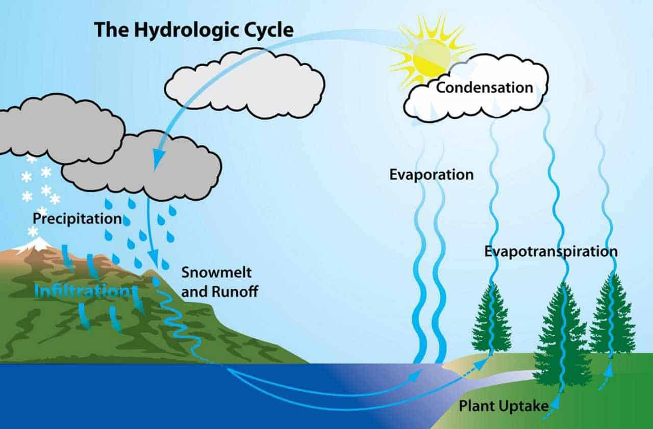 Hydrologic Water Cycle