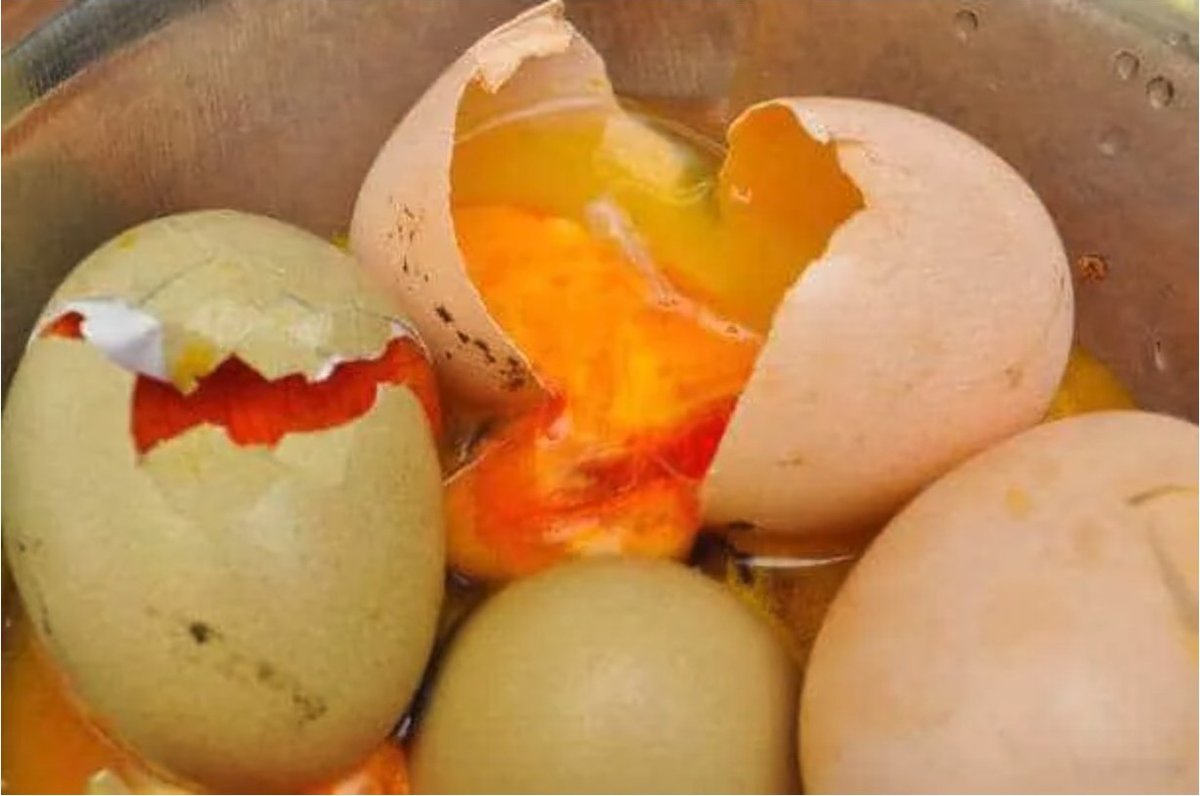 Rotten eggs, illustrating the hydrogen sulfide odor found in sulfur-contaminated well water